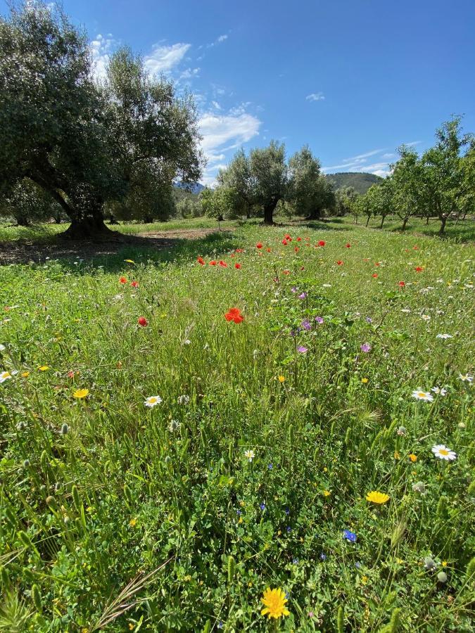 Wonderful Comfortable Finca In The Burga Valley Rasquera Kültér fotó